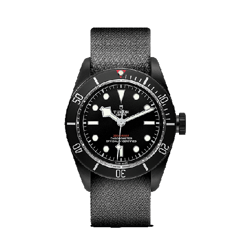 Montre TUDOR Heritage Black Bay Dark